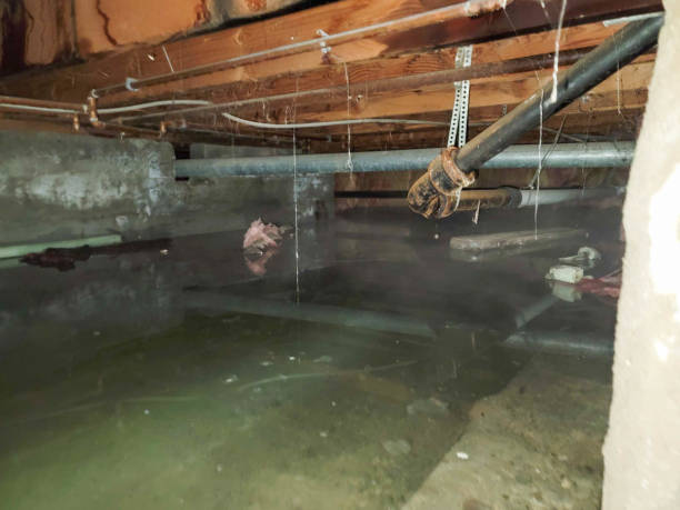 Vernon Center, NJ Water damage restoration Company