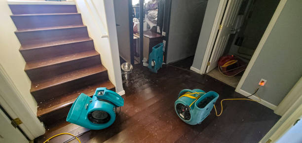 Best Carpet water damage restoration  in Vernon Center, NJ