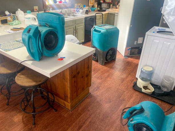 Best Local water damage restoration  in Vernon Center, NJ