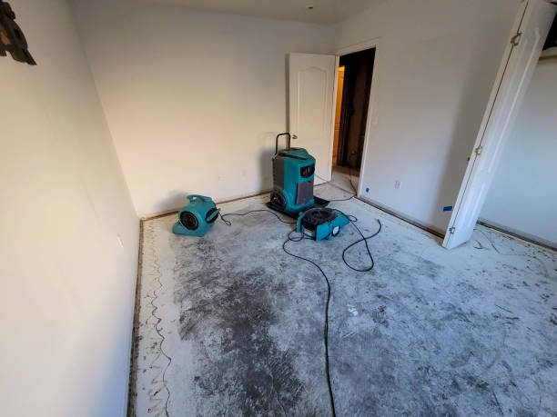 Best Water damage restoration cost  in Vernon Center, NJ