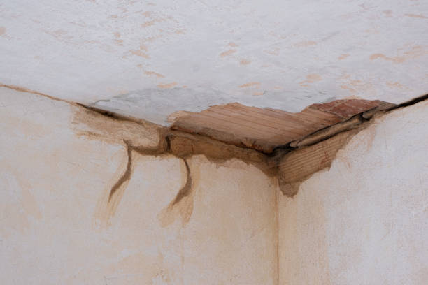 Best Water damage contractors near me  in Vernon Center, NJ