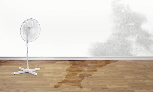 Best Water damage restoration mold remediation  in Vernon Center, NJ