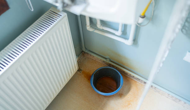 Best Water damage cleanup near me  in Vernon Center, NJ