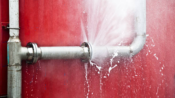 Best Carpet water damage restoration  in Vernon Center, NJ