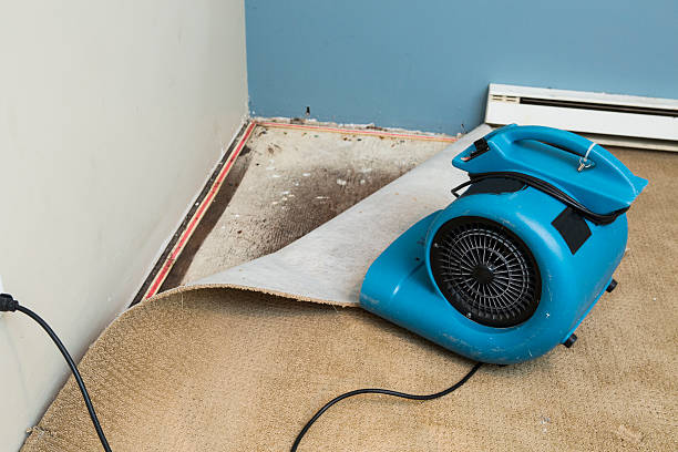 Water damage restoration mold remediation in Vernon Center, NJ